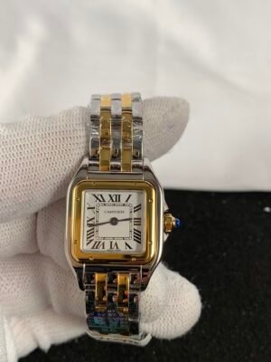 Cartier Panthere De Cartier W2PN0007 Panthère Secrète ladies square watch with white Roman numeral dial and two-tone silver and gold bracelet