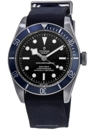 Tudor Black Bay 41 M79230B-0006 replica watch with black dial, blue bezel and blue strap
