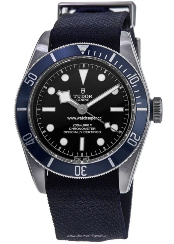 Tudor Black Bay 41 M79230B-0006 Tudor Black Bay 41 M79230B-0006 replica watch with black dial, blue bezel and blue strap